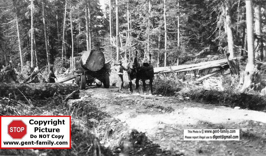 Terrace BC Logging Pictures